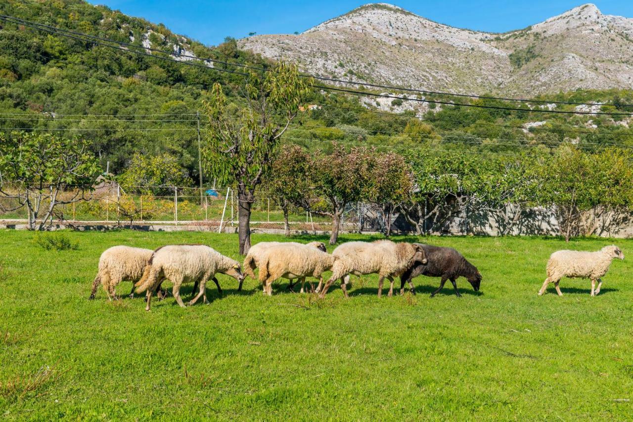Luki Home Dubrovnik Luaran gambar